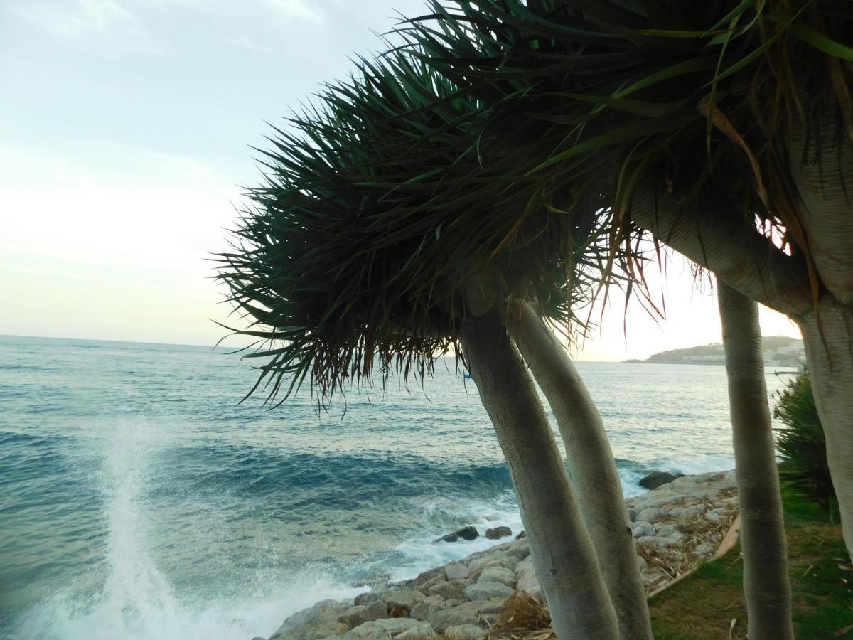 Chinasol Tropical Διαμέρισμα Almuñécar Εξωτερικό φωτογραφία